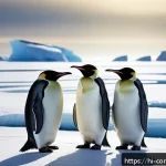 극지방의 생물 - A detailed and realistic scene of a group of emperor penguins standing closely together on icy Antar...